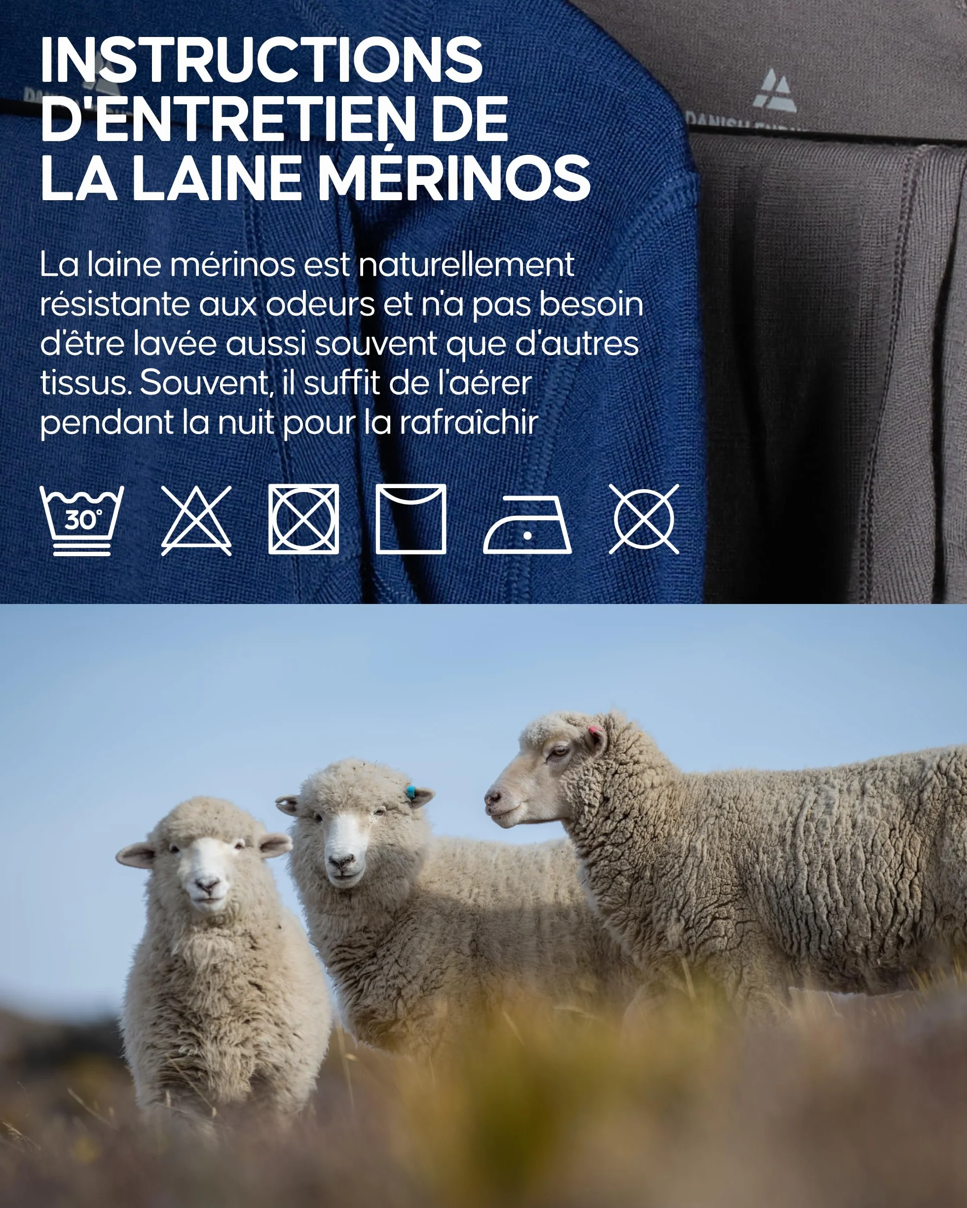 DANISH ENDURANCE T-Shirt 100% Laine Mérinos pour Homme, Léger et Respirant, Coupe Décontractée, Résistant aux Odeurs, Doux et Évacuant l'Humidité, Lot de 1 ou 2