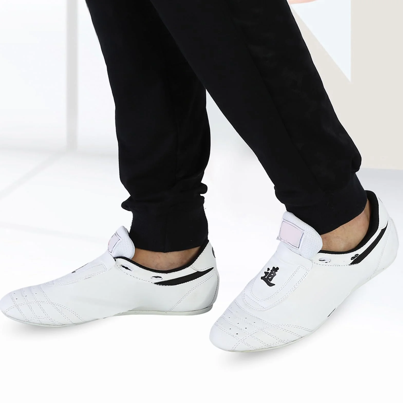 Alomejor Chaussures de Taekwondo Chaussures d'entraînement Respirantes Antidérapantes pour Le Karaté Taichi Boxing Taekwondo
