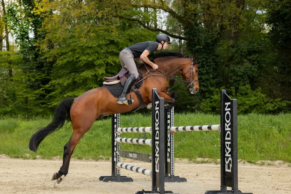 Pikeur New Rodrigo Pantalon d'équitation pour homme avec genoux Gris acier