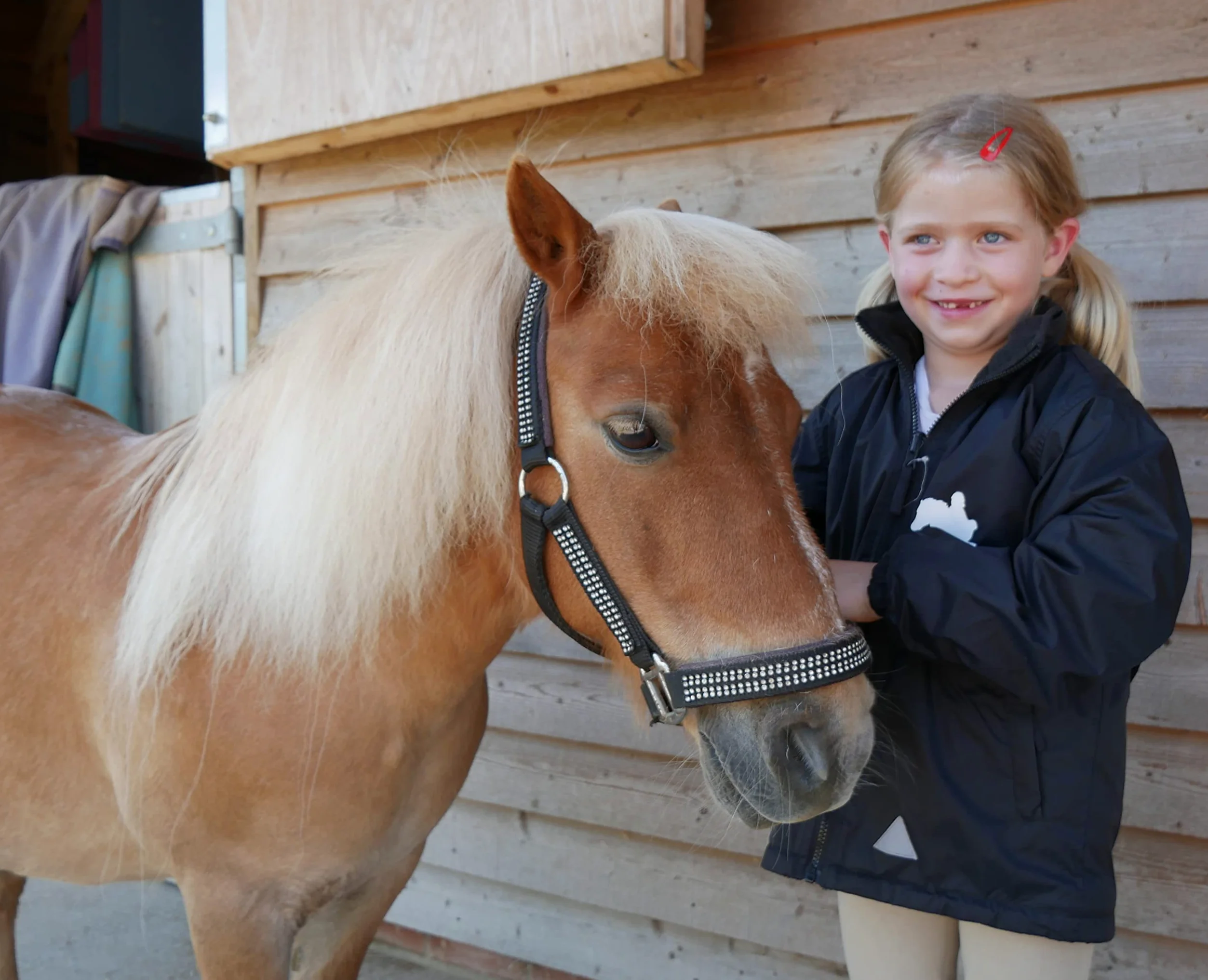 Luvponies Veste d'équitation personnalisée pour fille Violet 7-8 ans